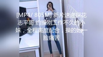 颜值黑色长裙妹子 沙发开始热吻深情，激情来了直接在沙发上开怼狂艹--4K字幕版