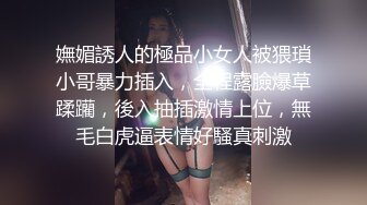 爆操微胖小母狗