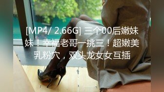 [MP4/347MB]淫蕩反差小女仆 極品美少女穿上可愛女仆裝服務金主爸爸，振動棒紫薇爽的尿屁不停