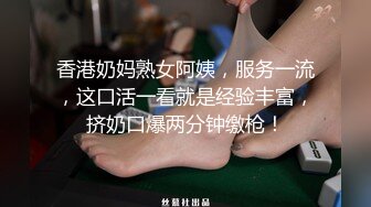 高清无水印珍藏版 高铁女神乘务员和靓丽的女乘客 (2)