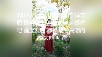 [MP4/ 1.29G] 最新流出极品淫荡少妇91骚逼爱丽丝吞精双插性爱私拍 骑乘坐大屌 爆裂黑丝