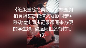 母狗老婆的骚逼2