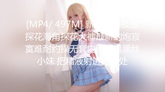 麻豆传媒【MDSR0001-1】妖女榨汁 篇章一秦老师的秘密