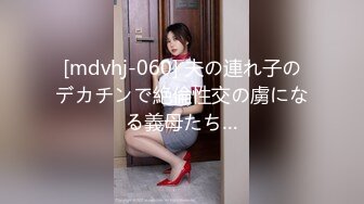 HEYZO-0003 北原麗香敏腕司法書士の肉欲