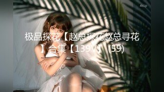 极品探花【赵总探花赵总寻花】合集【139V】 (59)