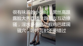 jun校蜜桃臀母狗寂寞难耐跑出来彻夜疯狂