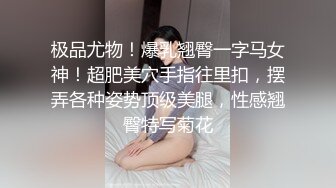 穿情趣的前女友2