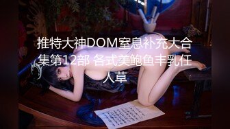 推特大神DOM窒息补充大合集第12部 各式美鲍鱼丰乳任人草