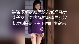 【极品稀缺孕妇也疯狂】孕之美良家大肚小情人孕妇自拍性爱啪啪甄选 爆乳大肚子 你可以内射 高清720P版