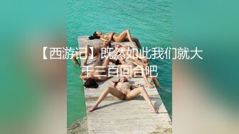 【西游记】既然如此我们就大干三百回合吧