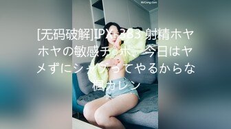 MSD-003.袁子仪.菜鸟特务.入侵者的反奸凌辱.麻豆传媒映画