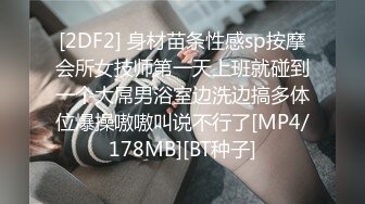 STP18228 麻豆传媒映画最新国产AV佳作 MDX-0030 美女荷官的情趣奖赏 异国女神尽情玩弄-安娜