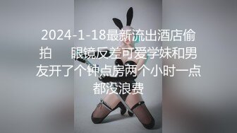 坐盗市网友投稿援交个样子非常骚的大学生美眉