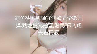 独家重磅❤️INS百万粉丝马来西亚模特Irenkampong1 付费做爱合集3