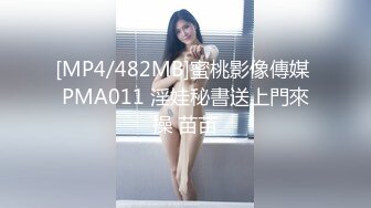 国产麻豆AV 蜜桃影像传媒 PMX010 欲望教师 雷梦娜