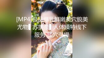 yuuhui玉汇 绝区零 -艾莲·乔