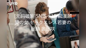 [无码破解]SNIS-319 痴漢願望の女 セックスレス若妻の昼顔 奥田咲