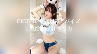 (中文字幕)昼顔妻の濡れた乳房 あなたの知らない平凡妻の本性