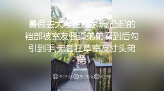 Al&mdash;凑崎纱夏 性感完美身材