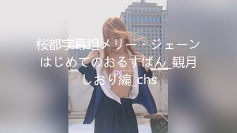 桜都字幕组メリー・ジェーンはじめてのおるすばん_観月しおり編_chs