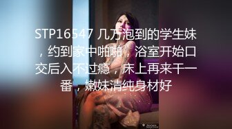 寻齐齐哈尔找炮友（少妇少女骚逼人妻）加我