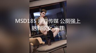 MSD185 麻豆传媒 公厕强上肥臀欲女 米菲