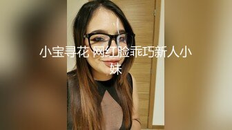 小宝寻花 网红脸乖巧新人小妹