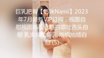 巨乳肥臀【奶咪Nami】2023年7月最新VIP订阅，视图自慰视图福利，翻白眼吐舌头自慰 乳夹抖动巨乳 炮机抽插自慰 (5)