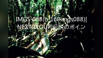 IMGS-088(h_169imgs088)[NEXTGROUP]伝説のボインライダー