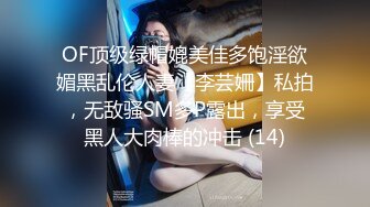 布丁大法 爱心女仆