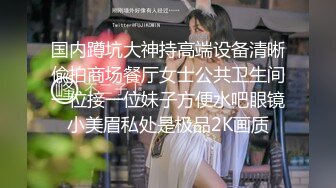 童颜巨乳小毒甜怀孕后复出 【43V】 (3)