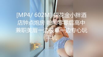 [MP4/ 704M]&nbsp;&nbsp;无敌大冒险 极品美少妇勇闯男公厕偷拍勾引蹲坑男子 公厕隔间席地开战淫声回荡