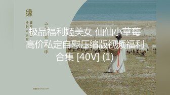 极品福利姬美女 仙仙小草莓高价私定自慰压缩版视频福利合集 [40V] (1)