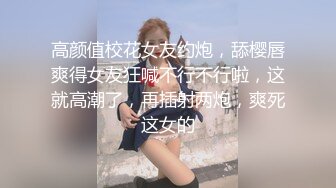 无人后继02百褶裙抄底