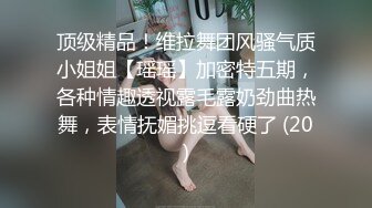 顶级精品！维拉舞团风骚气质小姐姐【瑶瑶】加密特五期，各种情趣透视露毛露奶劲曲热舞，表情抚媚挑逗看硬了 (20)