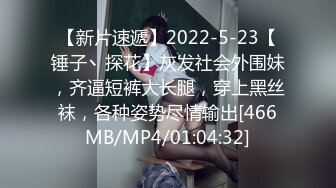 【新片速遞】2022-5-23【锤子丶探花】灰发社会外围妹，齐逼短裤大长腿，穿上黑丝袜，各种姿势尽情输出[466MB/MP4/01:04:32]