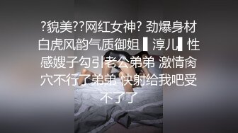 国产AV 天美传媒 TM0113 美少妇的哀羞3 伊婉琳