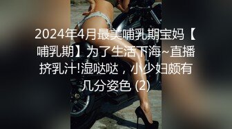 2024年4月最美哺乳期宝妈【哺乳期】为了生活下海~直播挤乳汁!湿哒哒，小少妇颇有几分姿色 (2)