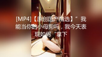 [MP4]高颜值外围小姐姐翘臀美乳肤白如玉沙发啪啪角度完美