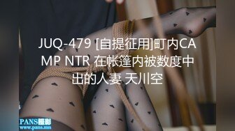 偷情95大奶黑丝小少妇