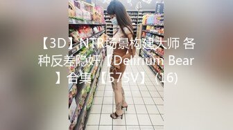 【3D】NTR场景构建大师 各种反差隐奸【Delirium Bear】合集 【575V】 (16)