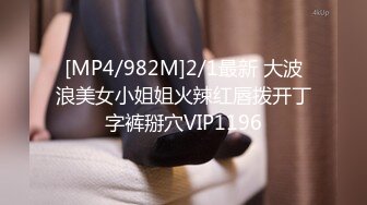 [MP4]性感包臀裙大耳环妹子舔弄摸逼发生争执没干了