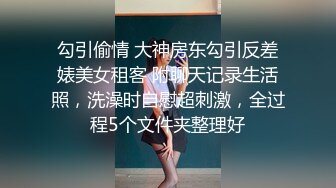 勾引偷情 大神房东勾引反差婊美女租客 附聊天记录生活照，洗澡时自慰超刺激，全过程5个文件夹整理好