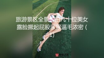 旅游景区全景偷拍几十位美女露脸撅起屁股尿尿逼毛浓密 (1)