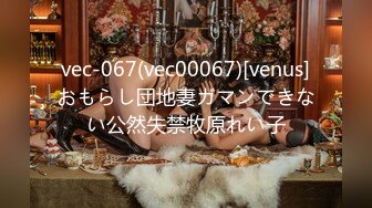 vec-067(vec00067)[venus]おもらし団地妻ガマンできない公然失禁牧原れい子