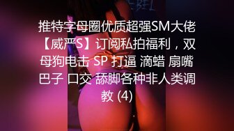 推特字母圈优质超强SM大佬【威严S】订阅私拍福利，双母狗电击 SP 打逼 滴蜡 扇嘴巴子 口交 舔脚各种非人类调教 (4)