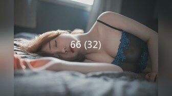 66 (32)