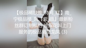 【极品稀缺推_特网_红】南_宁极品楼_凤『紫_晶』最新粉丝群订制私拍 被探花叫上门服务的极品骚货龙凤 (3)