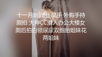 十一月新流出 魔手 外购手持厕拍 大神CC潜入办公大楼女厕后拍白领尿尿双胞胎姐妹花两姐妹