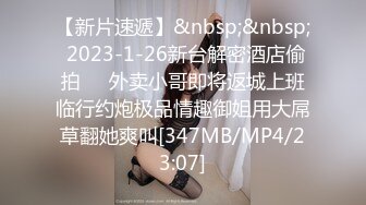 【新片速遞】&nbsp;&nbsp; 2023-1-26新台解密酒店偷拍❤️外卖小哥即将返城上班临行约炮极品情趣御姐用大屌草翻她爽叫[347MB/MP4/23:07]